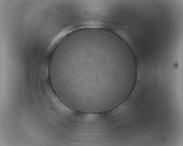 X0000111801451200907301157