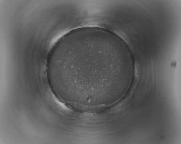 X0000111801452200907301157