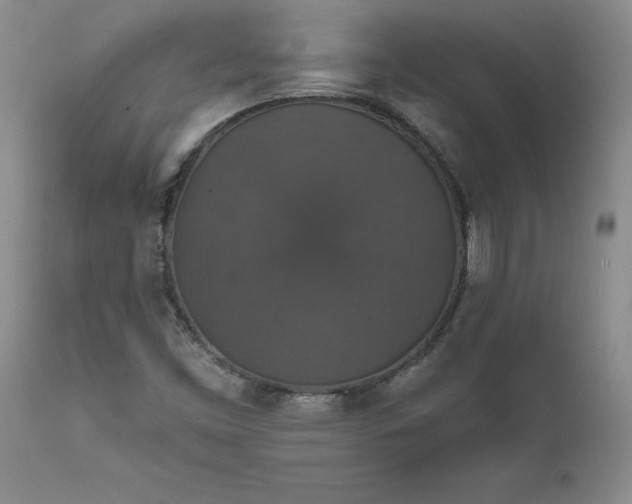 X0000111801453200907301157