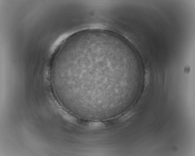X0000111801454200907301157