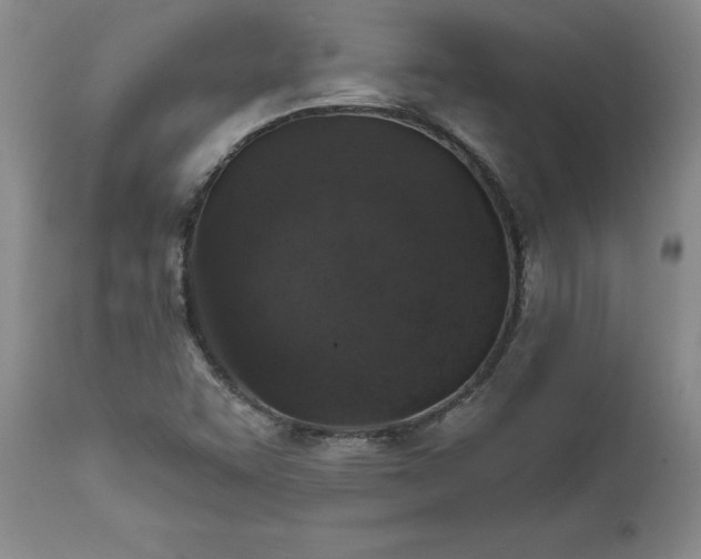 X0000111801455200907301157