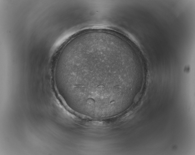 X0000111801456200907301157