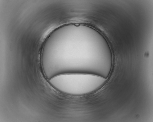 X0000111801459200907301157