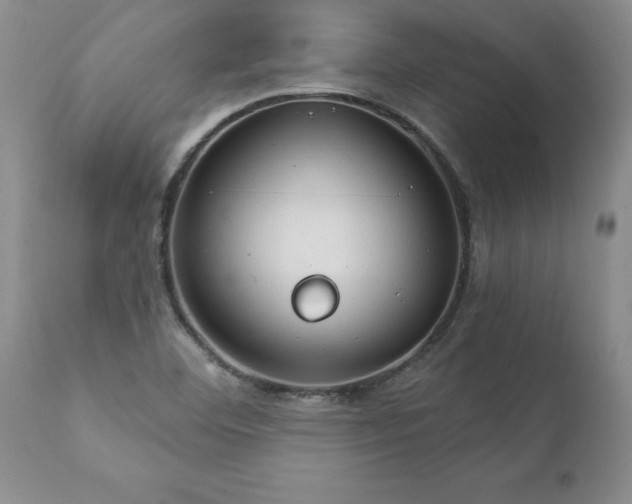 X0000111801460200907301157