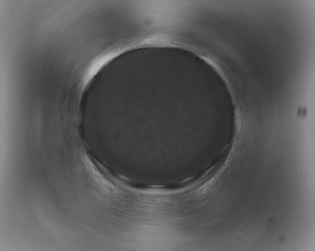 X0000111801461200907301157