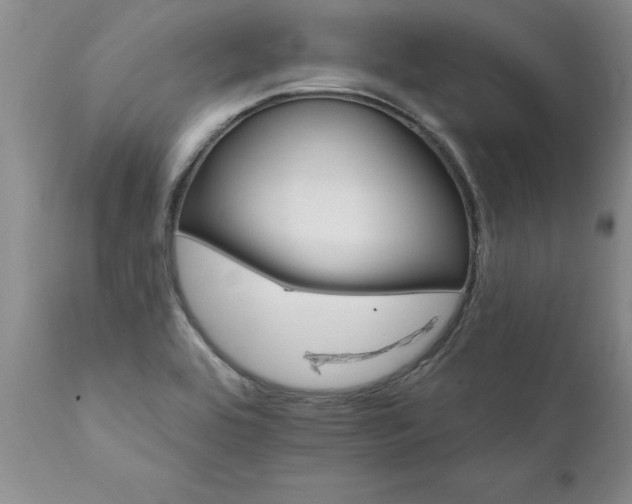 X0000111801464200907301157