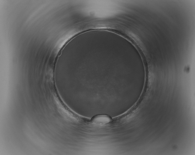 X0000111801465200907301157