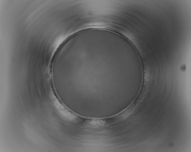 X0000111801466200907301157