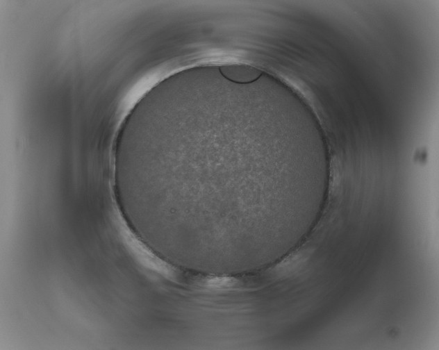 X0000111801467200907301157