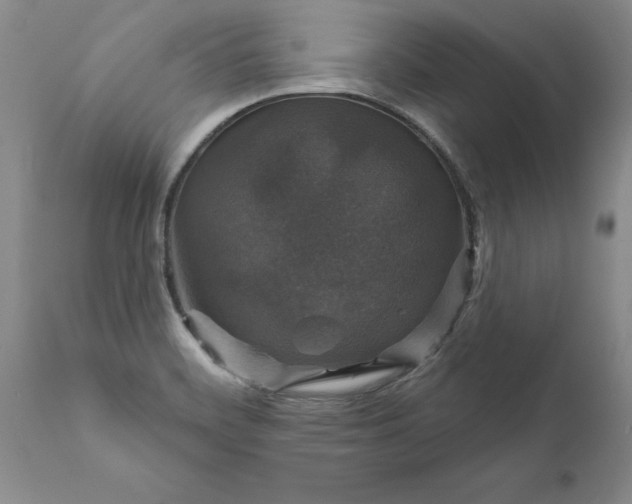 X0000111801468200907301157
