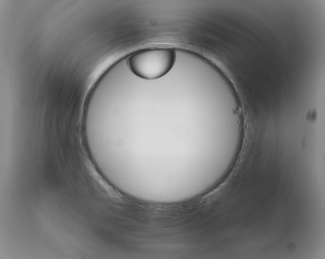 X0000111801469200907301157
