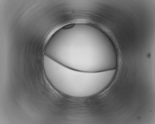 X0000111801473200907301157
