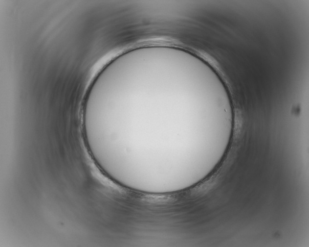 X0000111801474200907301157