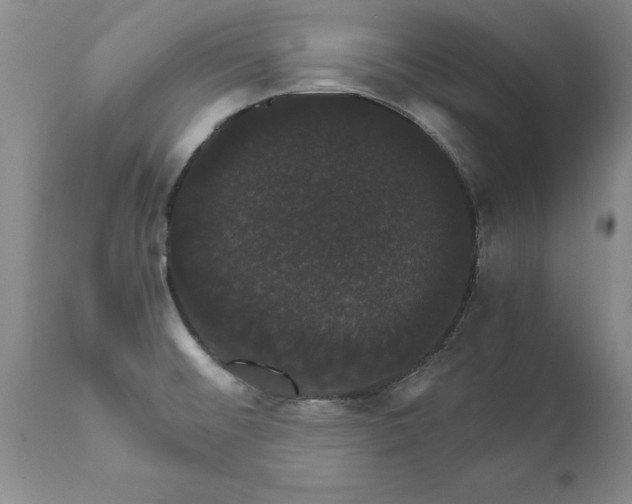 X0000111801476200907301157