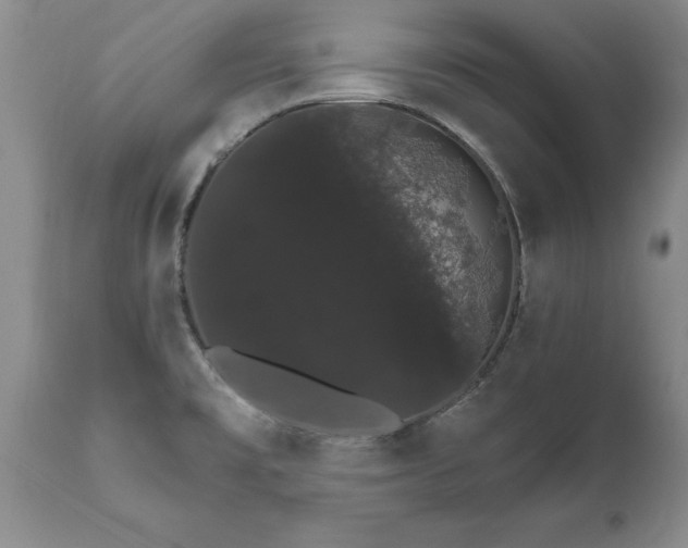 X0000111801477200907301157
