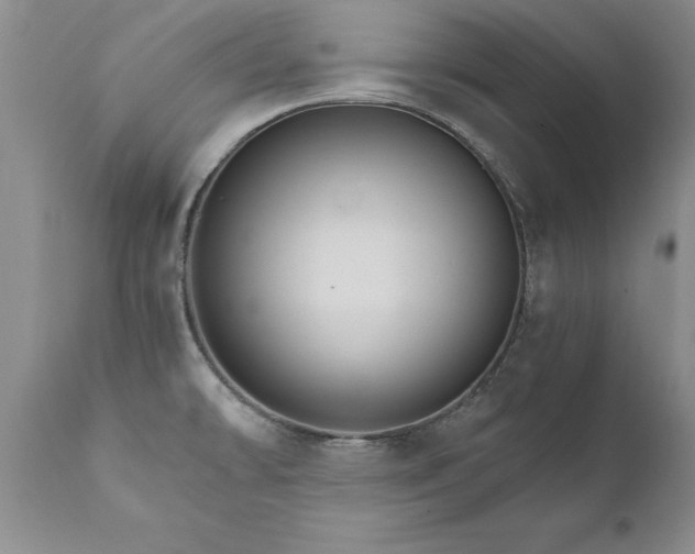 X0000111801478200907301157