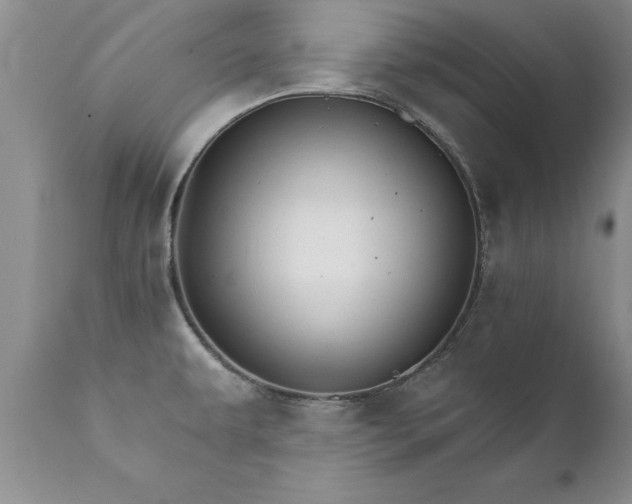X0000111801479200907301157