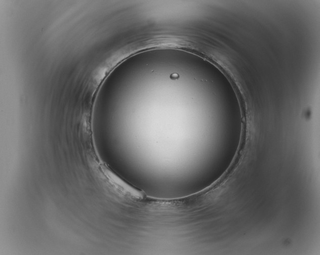 X0000111801481200907301157