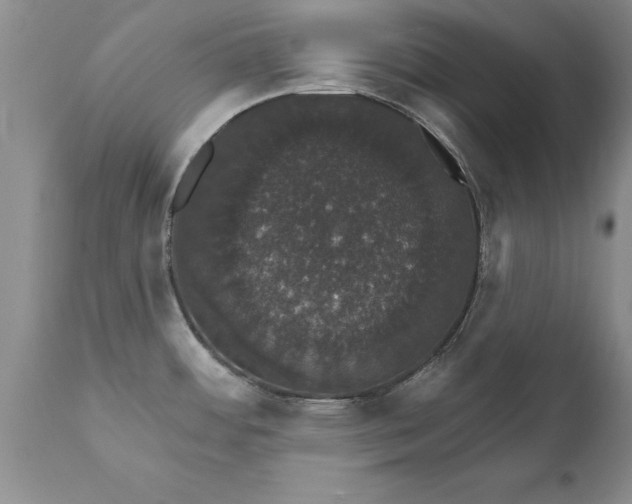 X0000111801484200907301157