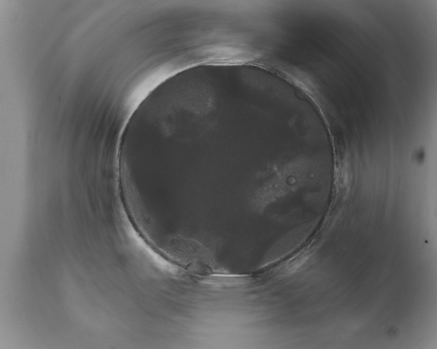 X0000111801487200907301157