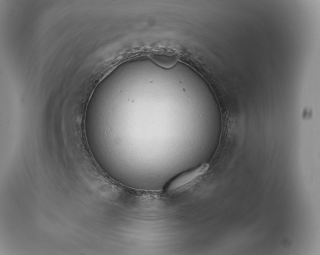 X0000111801489200907301156