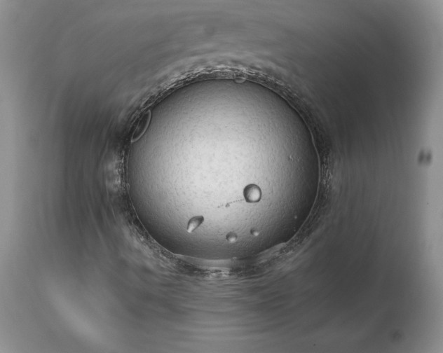 X0000111801490200907301156