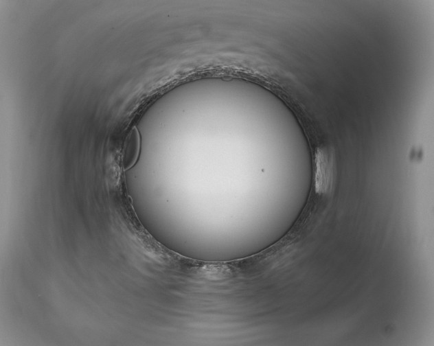 X0000111801491200907301156