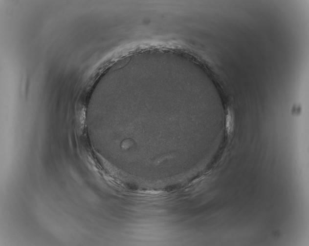 X0000111801492200907301156