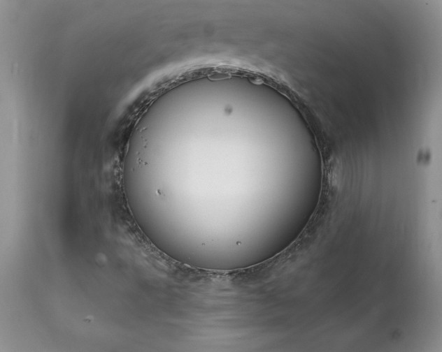 X0000111801495200907301156