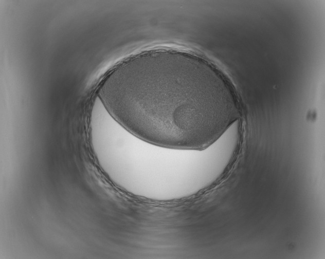 X0000111801496200907301156