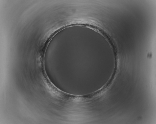 X0000111801497200907301156