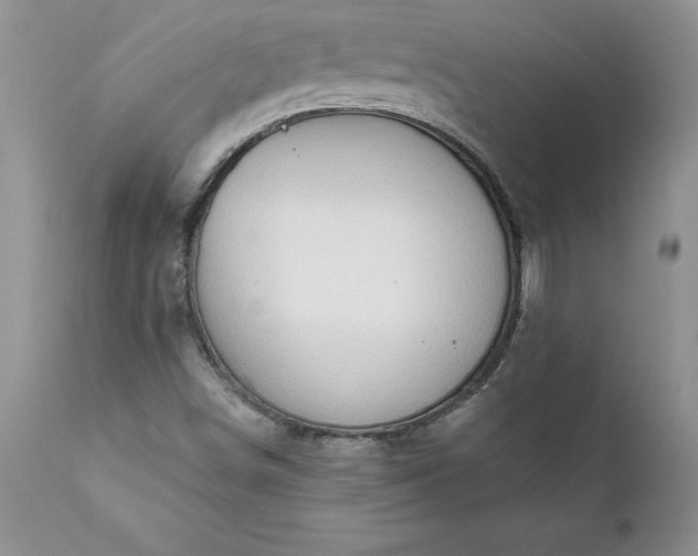 X0000111801498200907301156