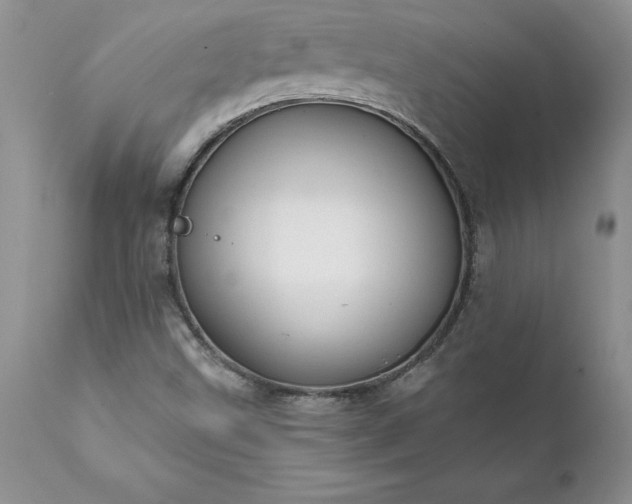 X0000111801499200907301156