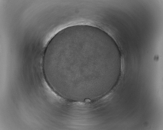 X0000111801500200907301156