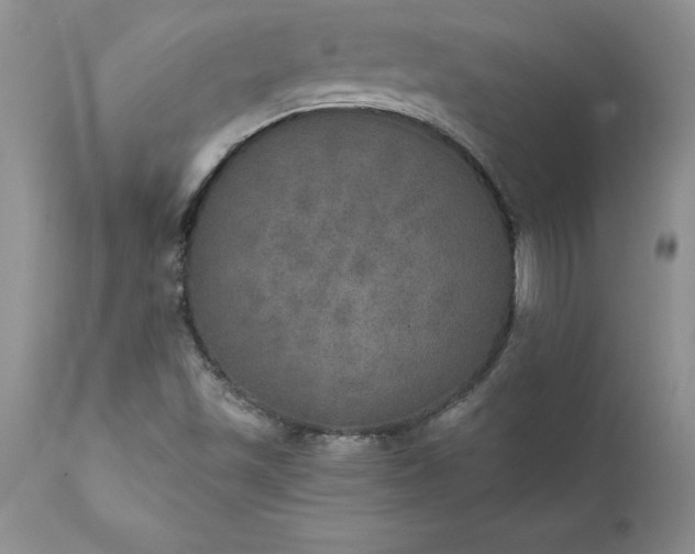 X0000111801501200907301156