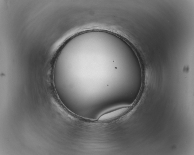 X0000111801502200907301156