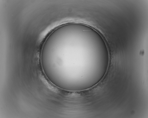 X0000111801503200907301156