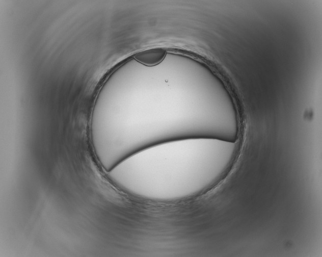 X0000111801505200907301156