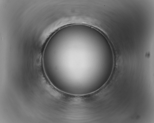 X0000111801507200907301156