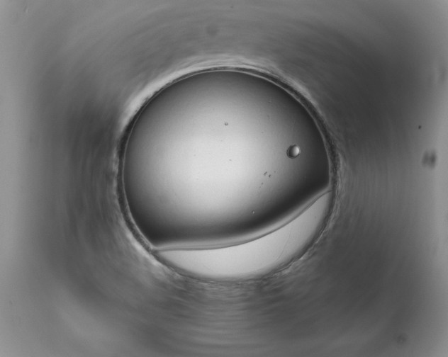 X0000111801508200907301156
