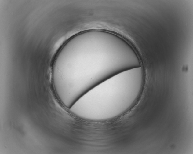 X0000111801509200907301156