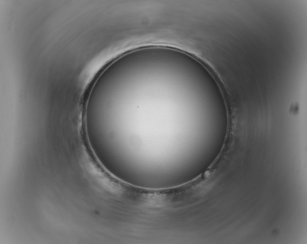 X0000111801511200907301156