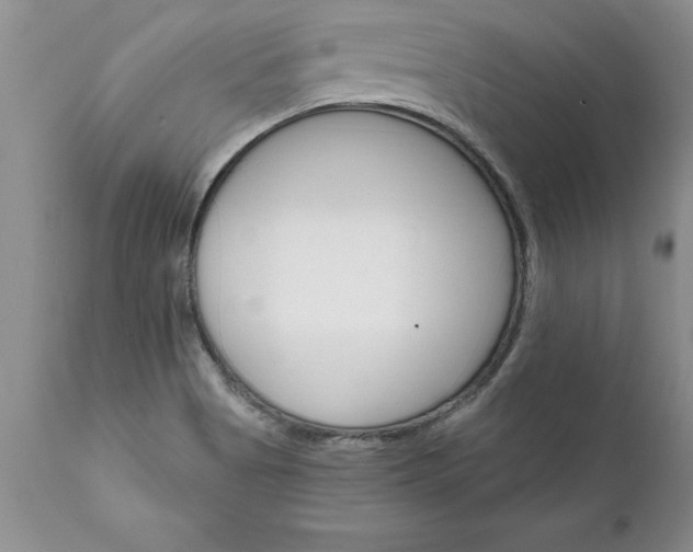 X0000111801513200907301156