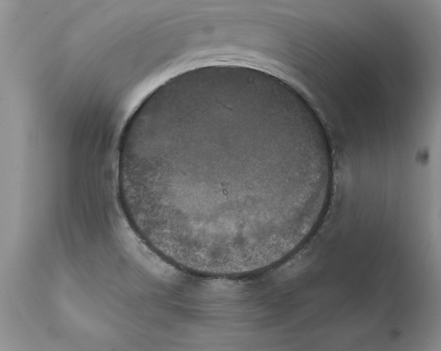 X0000111801514200907301156
