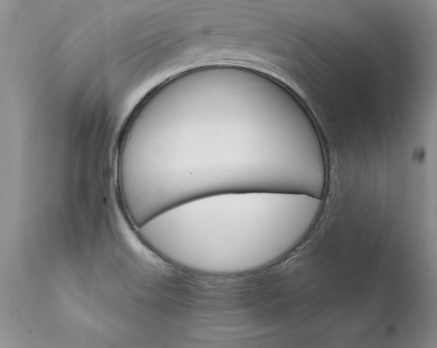 X0000111801515200907301156