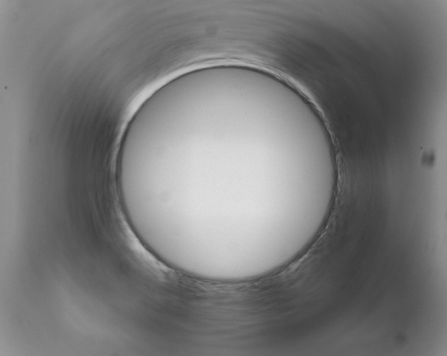 X0000111801516200907301156