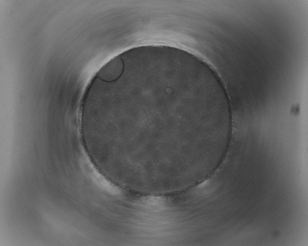X0000111801517200907301156