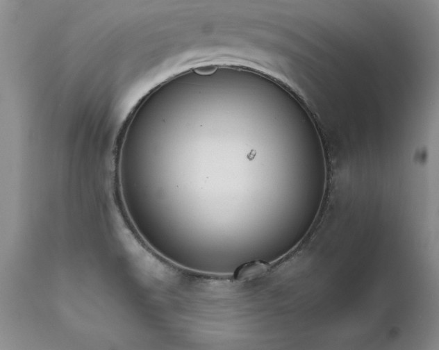 X0000111801518200907301156