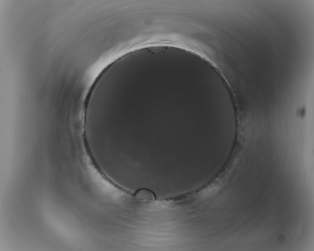 X0000111801519200907301156