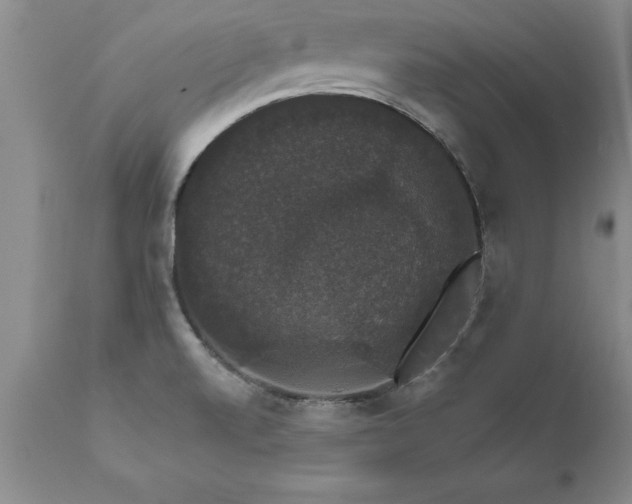 X0000111801520200907301156